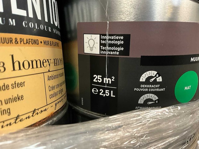 Renaulac/utomhus verf (50x) - afbeelding 9 van  10