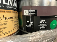 Renaulac/utomhus verf (50x) - afbeelding 9 van  10