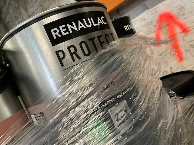 Renaulac/utomhus verf (50x) - afbeelding 10 van  10
