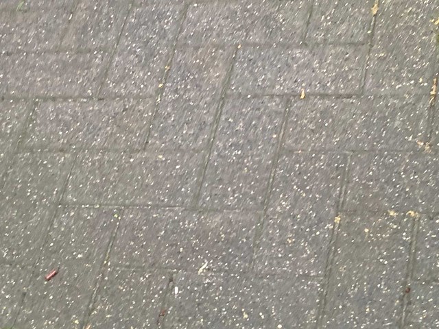 Renault - wind - n - car - 2010 - afbeelding 4 van  32