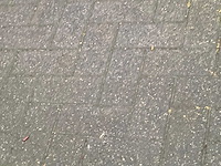 Renault - wind - n - car - 2010 - afbeelding 4 van  32