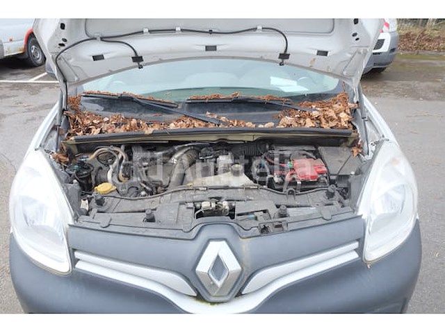 Renault kangoo 1,5 dci 80 utility truck (2014-48,012 km) - afbeelding 4 van  44