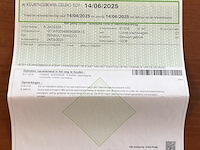 Renault kangoo - afbeelding 3 van  13