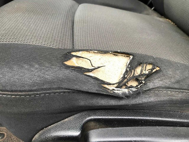 Renault kipper master bedrijfswagen - afbeelding 31 van  67