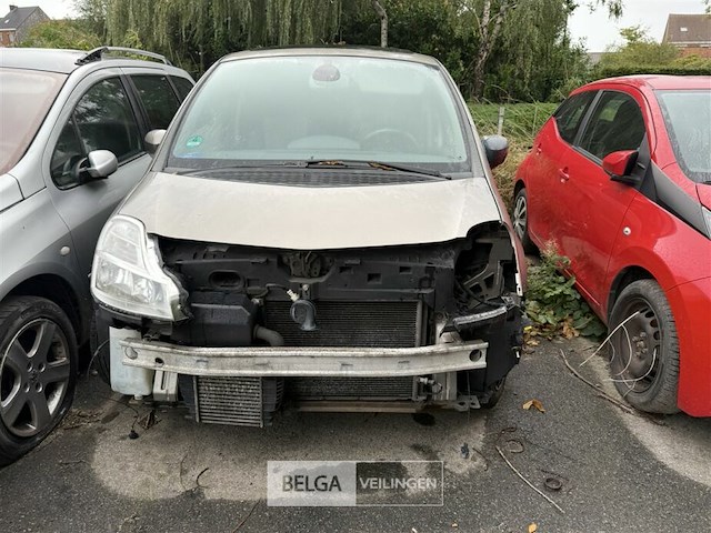 Renault modus, enkel voor vergunninghouders en erkende centra voor verschrotting - afbeelding 1 van  10