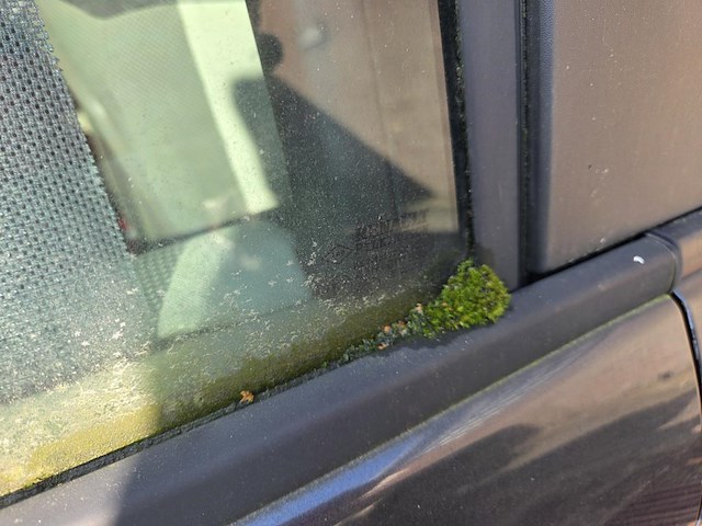 Renault scenic - afbeelding 13 van  18