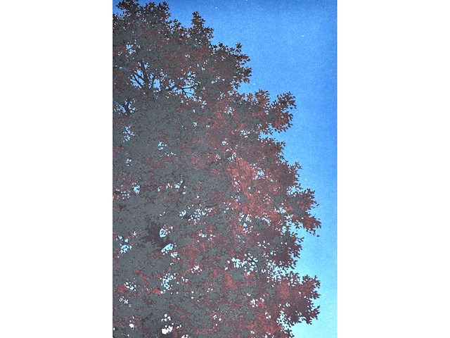 René magritte - la voix du sang - litho - afbeelding 10 van  10