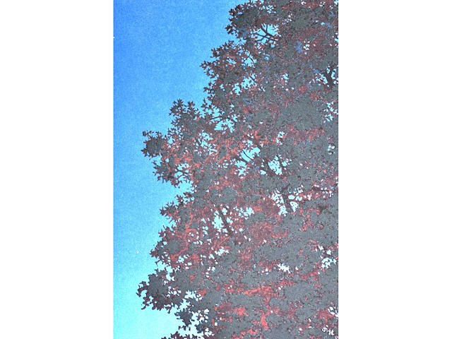 René magritte - la voix du sang - litho - afbeelding 3 van  4