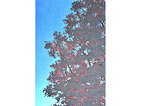 René magritte - la voix du sang - litho - afbeelding 3 van  4