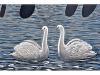 René magritte - l’art de la conversation (amour) - litho - ingelijst - afbeelding 5 van  5