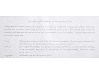 René magritte - le bouquet tout fait - litho - afbeelding 3 van  11