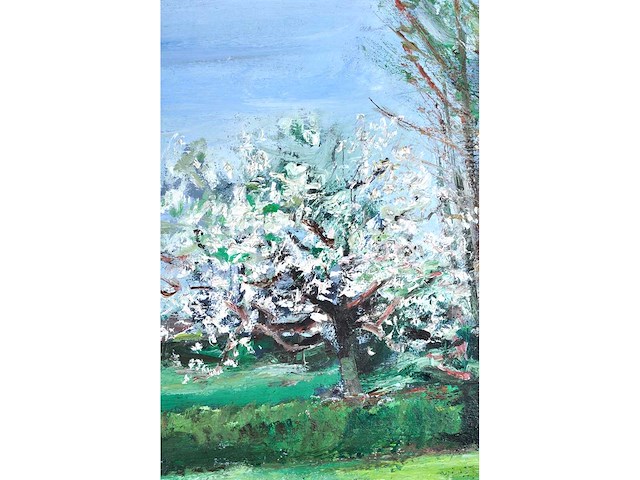 René marie dujardin - landschap met bloesems - olie op doek - 50x60 cm - afbeelding 6 van  10