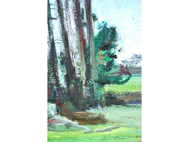 René marie dujardin - landschap met bloesems - olie op doek - 50x60 cm - afbeelding 8 van  10