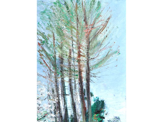 René marie dujardin - landschap met bloesems - olie op doek - 50x60 cm - afbeelding 7 van  10