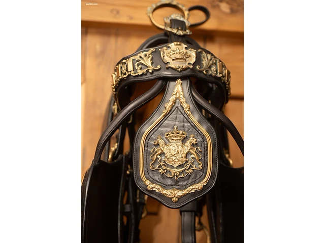Replica van vierspantuig van belgisch koningshuis - afbeelding 4 van  12