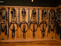 Replica van vierspantuig van belgisch koningshuis - afbeelding 5 van  12