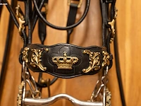 Replica van vierspantuig van belgisch koningshuis - afbeelding 7 van  12
