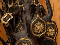 Replica van vierspantuig van belgisch koningshuis - afbeelding 11 van  12