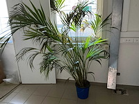 Rest inhoud keuken - afbeelding 3 van  11