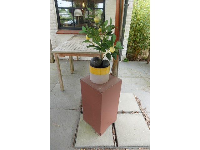 Restpartij planten - afbeelding 3 van  23