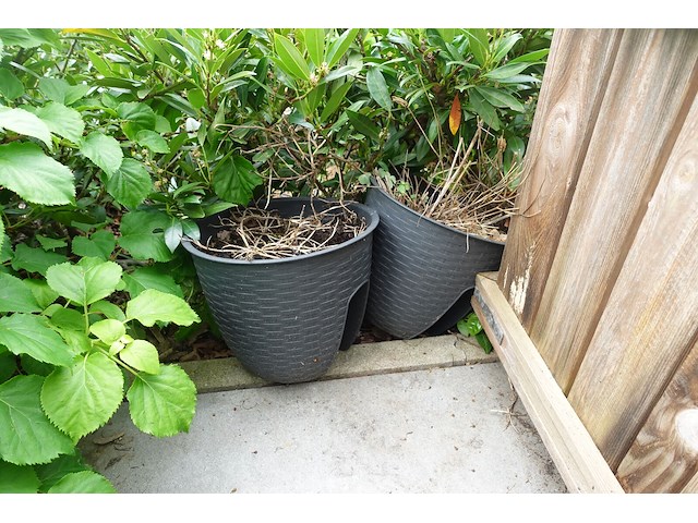 Restpartij planten - afbeelding 7 van  23