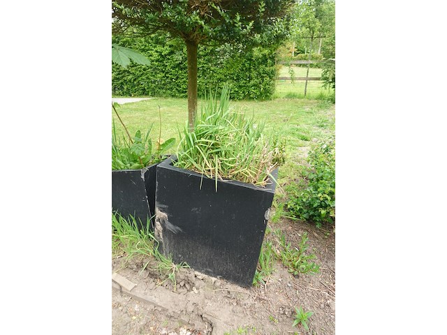 Restpartij planten - afbeelding 14 van  23