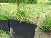 Restpartij planten - afbeelding 14 van  23