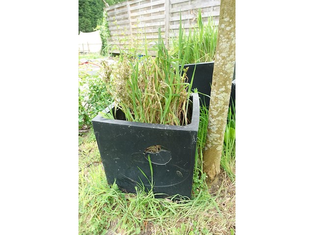 Restpartij planten - afbeelding 16 van  23