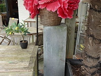 Restpartij planten - afbeelding 12 van  23