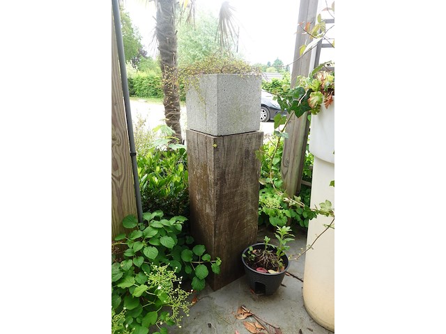Restpartij planten - afbeelding 17 van  23