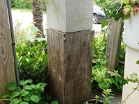 Restpartij planten - afbeelding 17 van  23