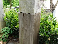Restpartij planten - afbeelding 19 van  23