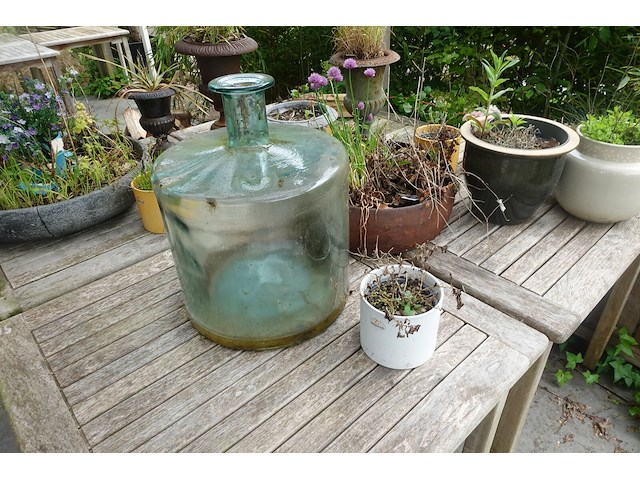 Restpartij planten - afbeelding 22 van  23