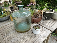 Restpartij planten - afbeelding 22 van  23