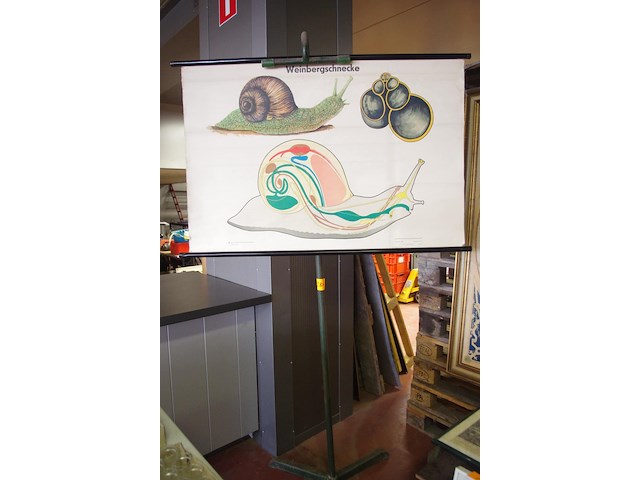 Retro tekening met statief - afbeelding 1 van  2