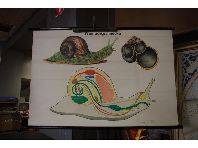 Retro tekening met statief - afbeelding 2 van  2