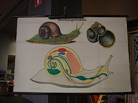 Retro tekening met statief - afbeelding 2 van  2