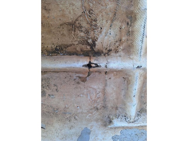 Reuzekano - afbeelding 2 van  6