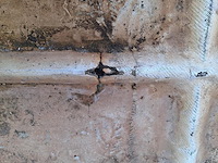 Reuzekano - afbeelding 2 van  6