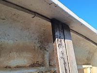 Reuzekano - afbeelding 3 van  6