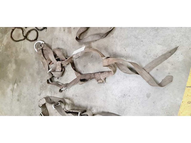 Riemen (3x) - afbeelding 1 van  2