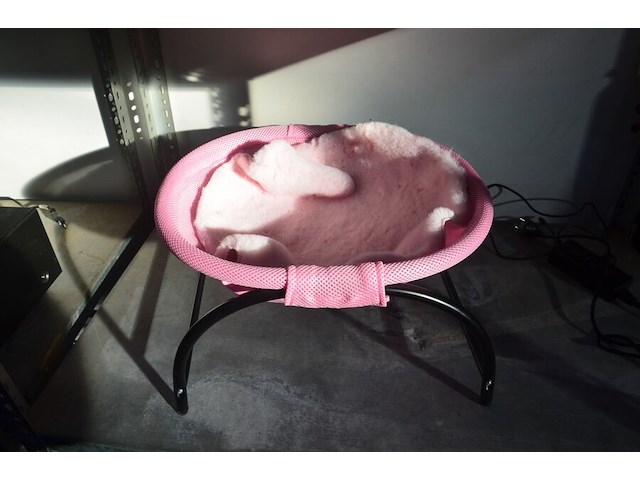 Rietenkerstboomrok, 2 kattenmanden, portefeuille tommy hilfiger zwart - afbeelding 7 van  9