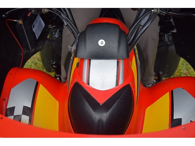 Rijdende helm gemonteerd op quad cobra 165cc (ideaal voor promo materiaal) - afbeelding 14 van  46