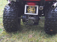 Rijdende helm gemonteerd op quad cobra 165cc (ideaal voor promo materiaal) - afbeelding 5 van  46