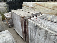 Rijswaard bont gevelsteen