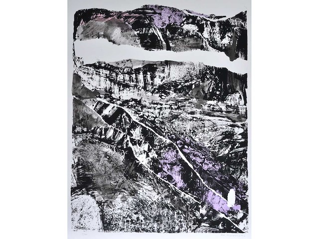 Rik hoydonckx - kleurenzeefdruk - 1/130 - afbeelding 1 van  6