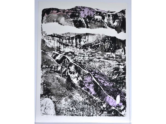 Rik hoydonckx - kleurenzeefdruk - 1/130 - afbeelding 2 van  6