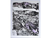 Rik hoydonckx - kleurenzeefdruk - 1/130 - afbeelding 2 van  6