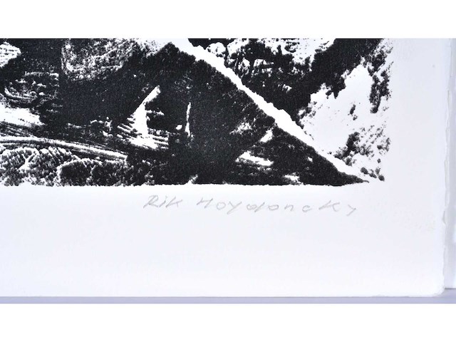 Rik hoydonckx - kleurenzeefdruk - 1/130 - afbeelding 3 van  6