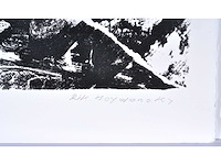 Rik hoydonckx - kleurenzeefdruk - 1/130 - afbeelding 3 van  6